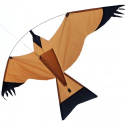 Cerf-volant oiseau Faucon