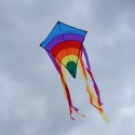 Cerf-volant Eddy Rainbow bleu - 2 dimensions